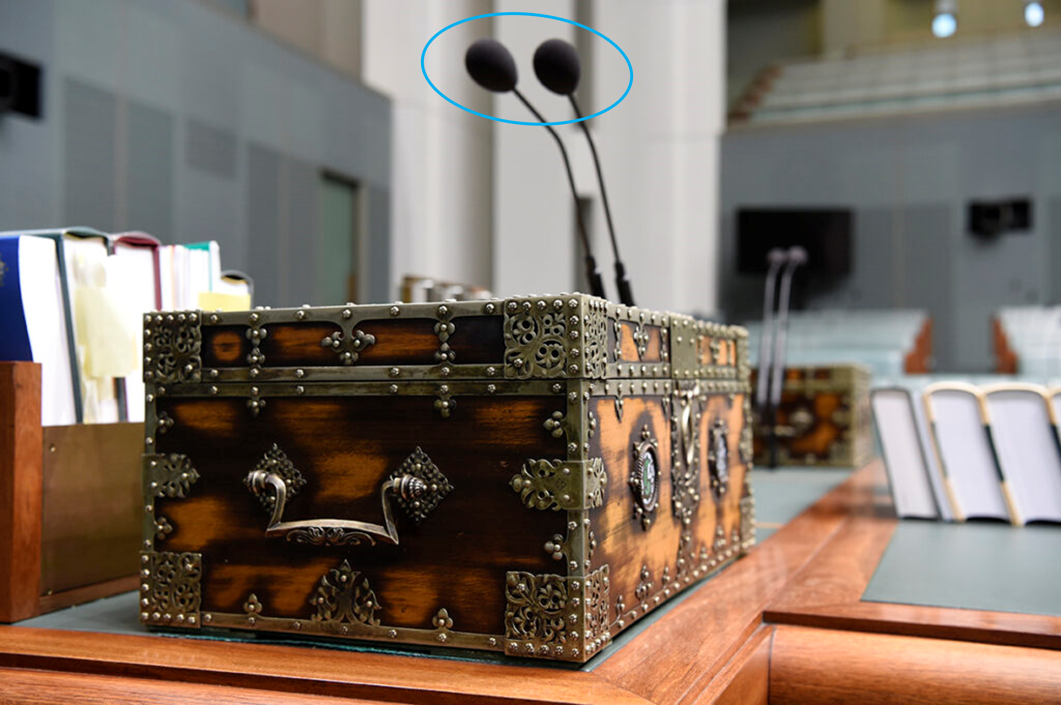 Custom Microfone Foam for Parliament House